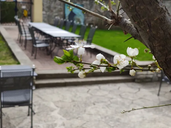 Bild von Café PurPur Wiespach