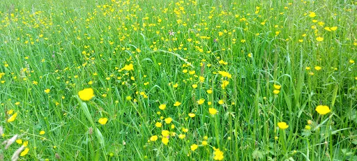Bild von Berghaus Dorschnei