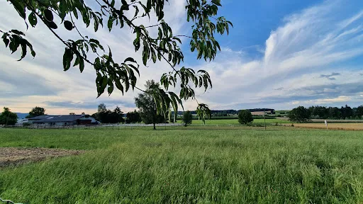 Bild von Restaurant Büsi