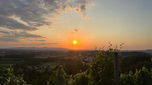 Bild von Hotel-Restaurant Sonnenberg Kriens