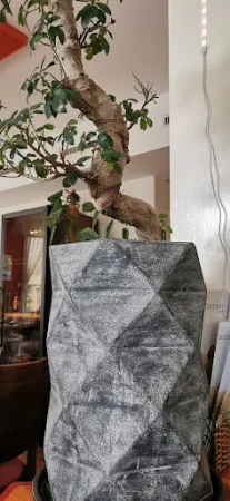 Bild von Zum Adler