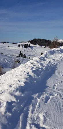 Bild von Sabine Korn