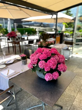 Bild von Brasserie le Mirage