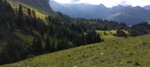 Niederbauen - genial schön