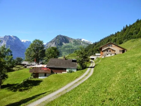 Bild von Restaurant Nussbüel