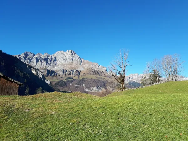 Bild von Erika Lauffer