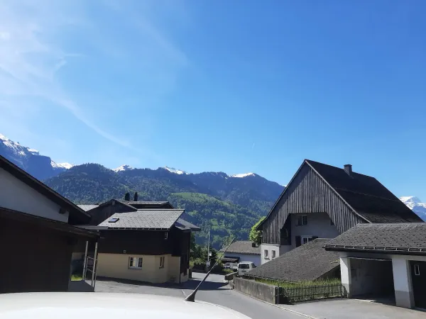 Bild von Alice Staeheli