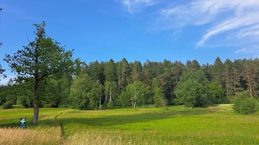 Bild von Restaurant Wiesental