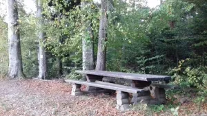 Auberge du Pélerin