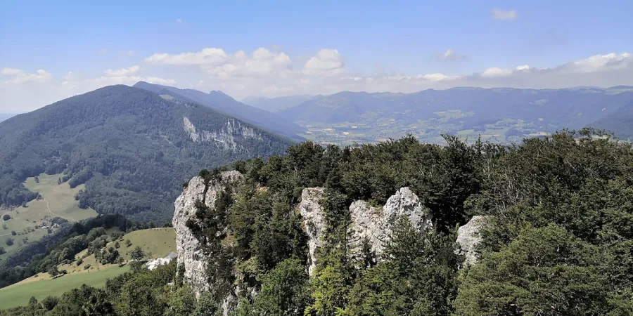 Bild von Michael Nass