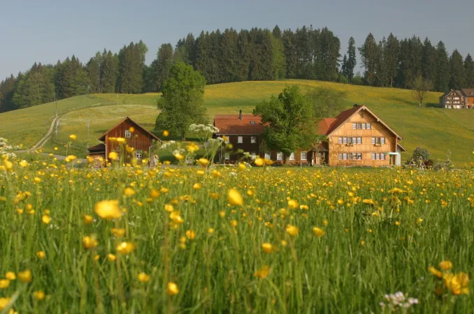 Bild von Restaurant Rechberg