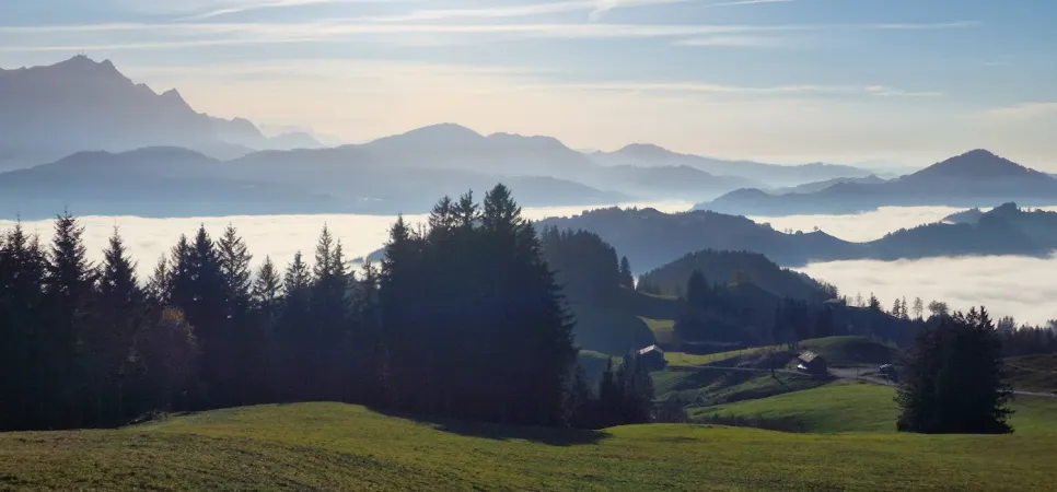 Bild von Sebastian Jung