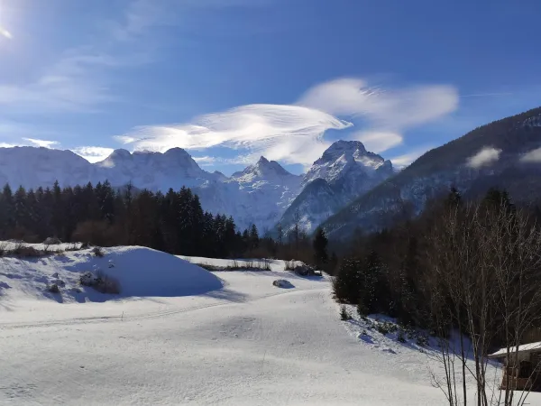Bild von Wolf-Dieter Wolfram