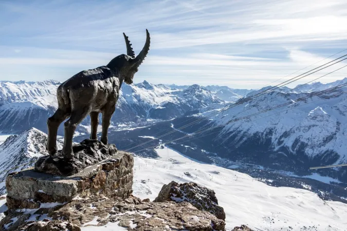 Bild von Restaurant Piz Nair 10&#39;000 feet