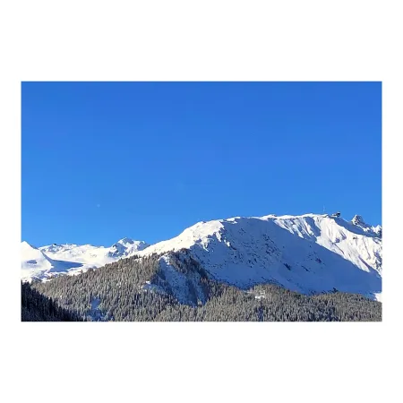 Bild von Gasthaus Höhwald