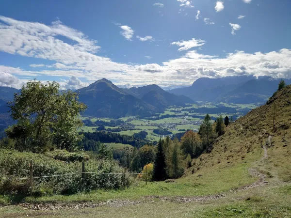 Bild von Alexander Fink