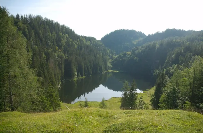 Bild von Taubenseehütte