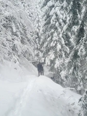 Bild von Bergbeizli St. Jost