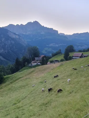 Bild von Berggasthaus Obbort