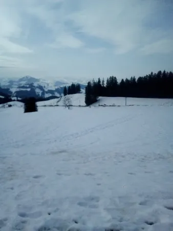 Bild von Gasthaus Oberer Gäbris