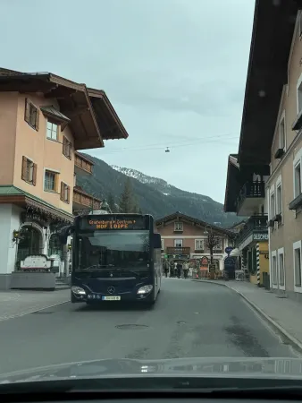 Bild von Pók László