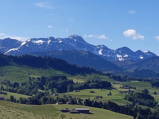 Bild von Restaurant Rechberg