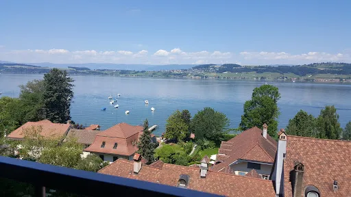 Bild von Meat & View