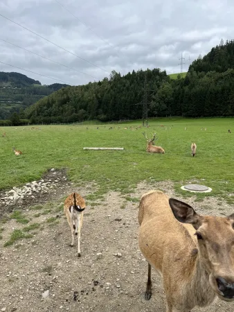 Bild von Bandar Als