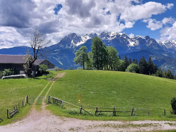 Bild von Andreas Gerlach