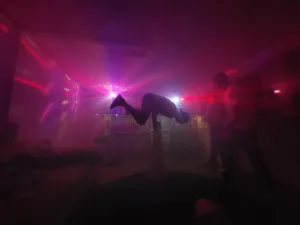 Rutsch Bar