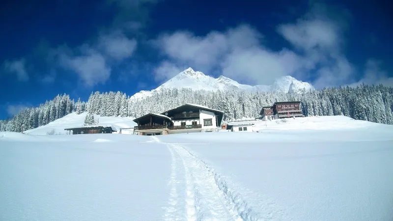 Bild von Mittereggalm