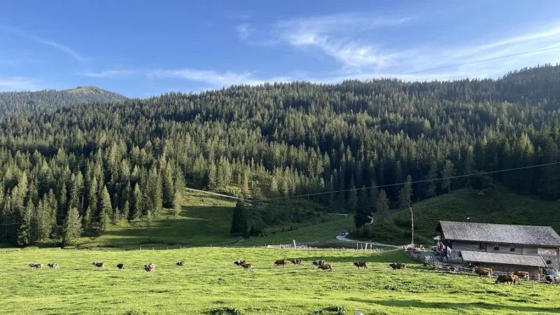 Bild von Stein Heeren