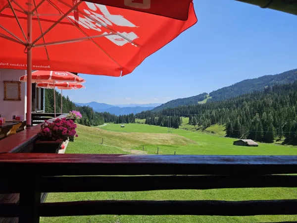 Bild von Roger- Philipp Rickli