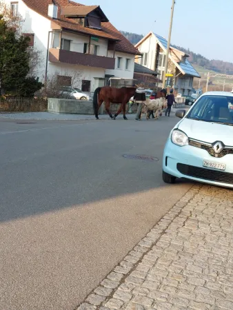 Bild von Güray Kamberoğlu