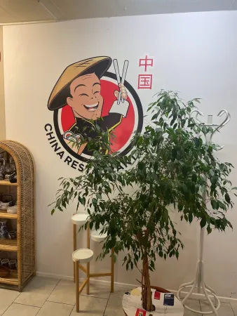 Bild von China Restaurant Alin
