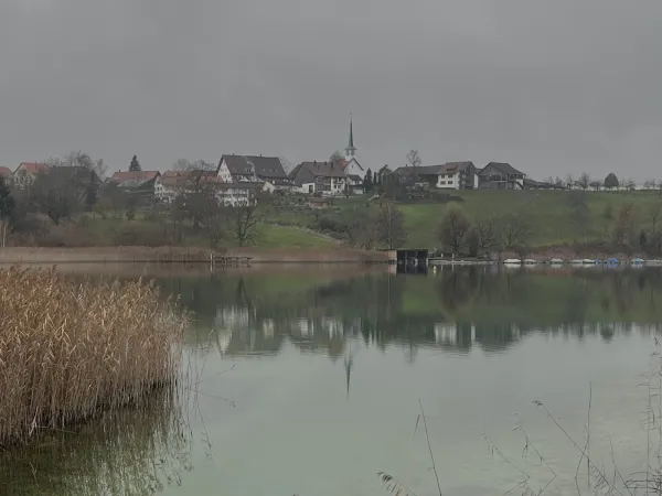 Bild von Peter Steudler