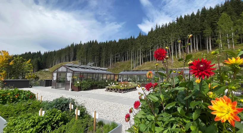 Bild von LUMBERJACK Bio-Bergrestaurant