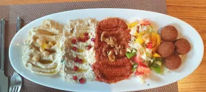 Restaurant RheinGarten مطعم العمدة