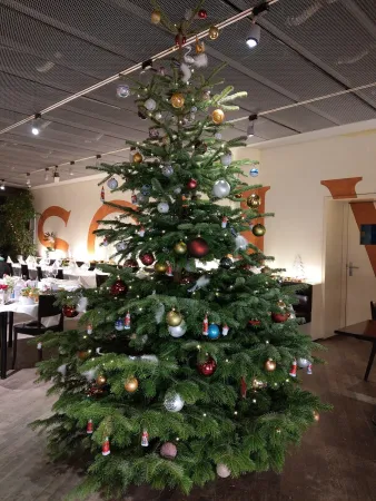 Bild von Restaurant SchwamEdinge