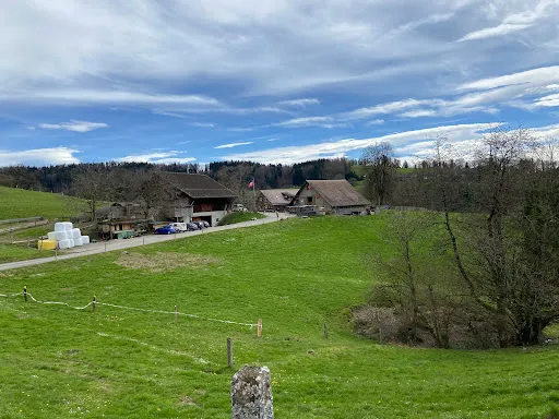 Bild von Restaurant Alpwirtschaft Schnurrberg