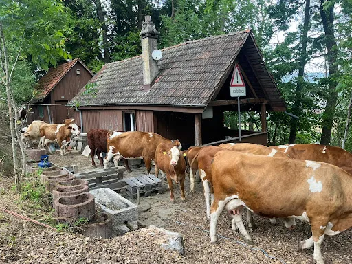 Bild von Rutsch Bar