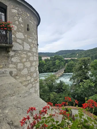 Bild von Schloss Laufen am Rheinfall