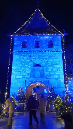 Bild von Schloss Laufen am Rheinfall