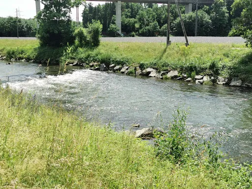 Bild von Thaigarden