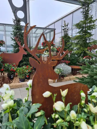 Bild von Restaurant Botanica