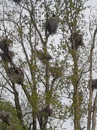 Bild von Gartenbeizli Hasel