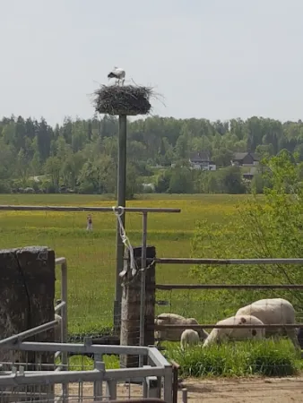 Bild von Gartenbeizli Hasel