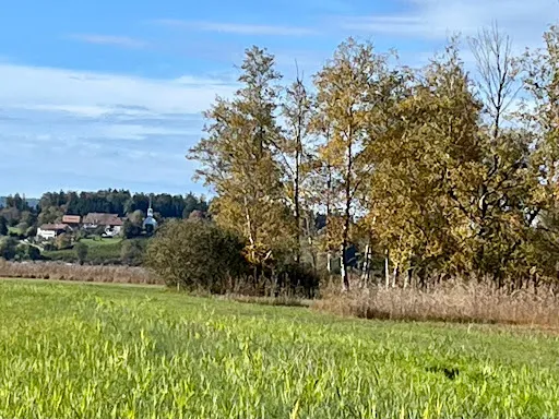 Bild von Kioskbeizli