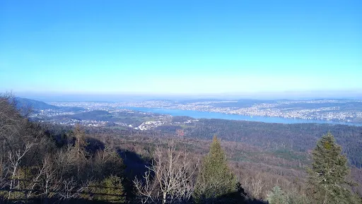 Bild von Bergrestaurant Albishorn