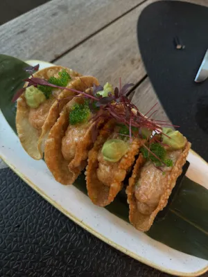 Tao‘s